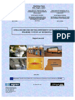 Rapportstrategie Coton Amende 20 08 PDF