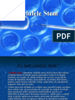 Celulele Stem. Esanu Viorica - F1706