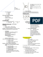 Klebsiella Shigella Yersinia: Have Little Value in ID