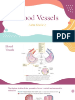 Blood vessels raraa