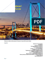 TURCIA - Indrumar de Afaceri Sept.2018 1 PDF