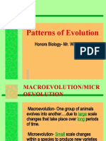 Patterns of Evolution