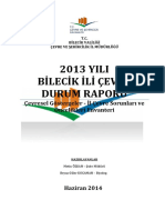 Bilecik_icdr2013