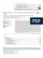 Of Bacterial Cellulose Composites: A Multipurpose Advanced Material