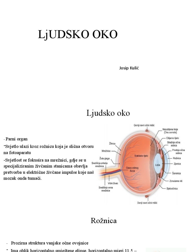 LjUDSKO OKO | PDF