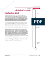 Raptor Cased-Hole Reservoir Evaluation Tool: Wireline Services