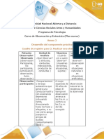 Anexo 2 - Cuadro de Registro para La Observación - Sandra Pinilla