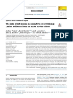 The Role of Left Insula in Executive Set-Switching - Lesion Evidence From An Acute Stroke Cohort