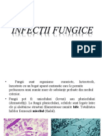 Curs-4-Infectii-fungice.doc