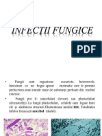 Curs-4-Infectii-fungice.pdf