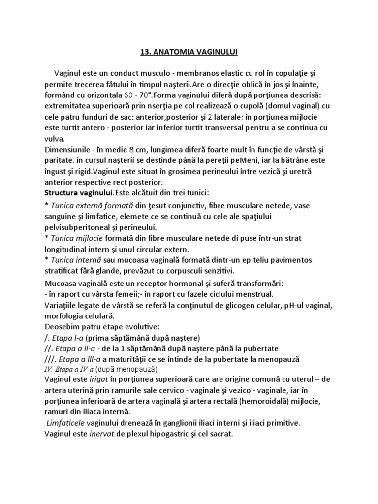 13.anatomia Vaginului | PDF