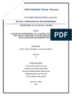 MAPA CONCEPTUAL DEL CUIDADO DE ENFERMERIA EN LA MUJER.pdf modificado