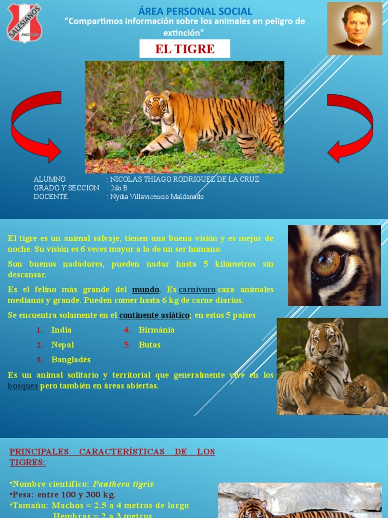 El Tigre | PDF | Tigre | Organismos