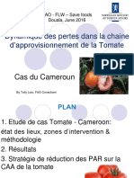 FAO FLW Cameroun Jun16 - Douala