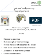 Physics of Embryo Morphogenesis - ChiiChan PDF