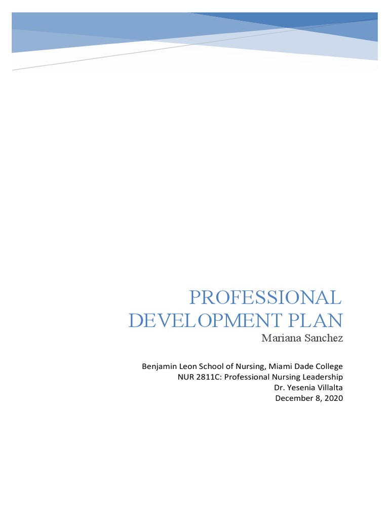 Nursing Professional Development Plan | PDF | National Council ...