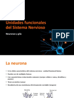 Neuromarketing - Resumen 3 - Neuronas