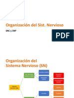 Neuromarketing - Resumen 4 - SNC y SNP