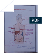 Caso Clinico de Cirrosis Hepatica - Yesenia Condori - Grupo 12