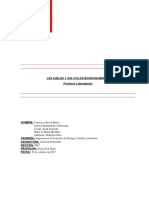 Informe Final Quimica Suelo