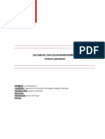 INFORME FINAL QUIMICA AMBIENTAL (Sin Anexos Por Peso)