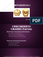 Crecimiento Craneo Facial