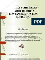 Mineria Aurifera en Madre de Dios y Contaminacion