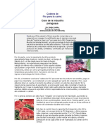 Cadena de frío para la carne: caso de la industria paraguaya