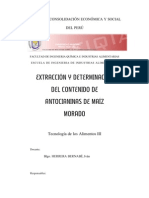 Informe Antocianinas