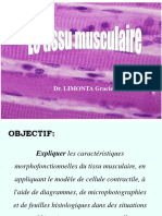Tissue musculaire.pdf