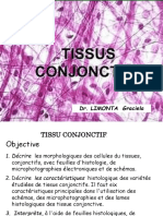 Connective tissue PPT  PDF (1).pdf