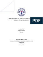 LP Ujian Stase Gerontik PDF
