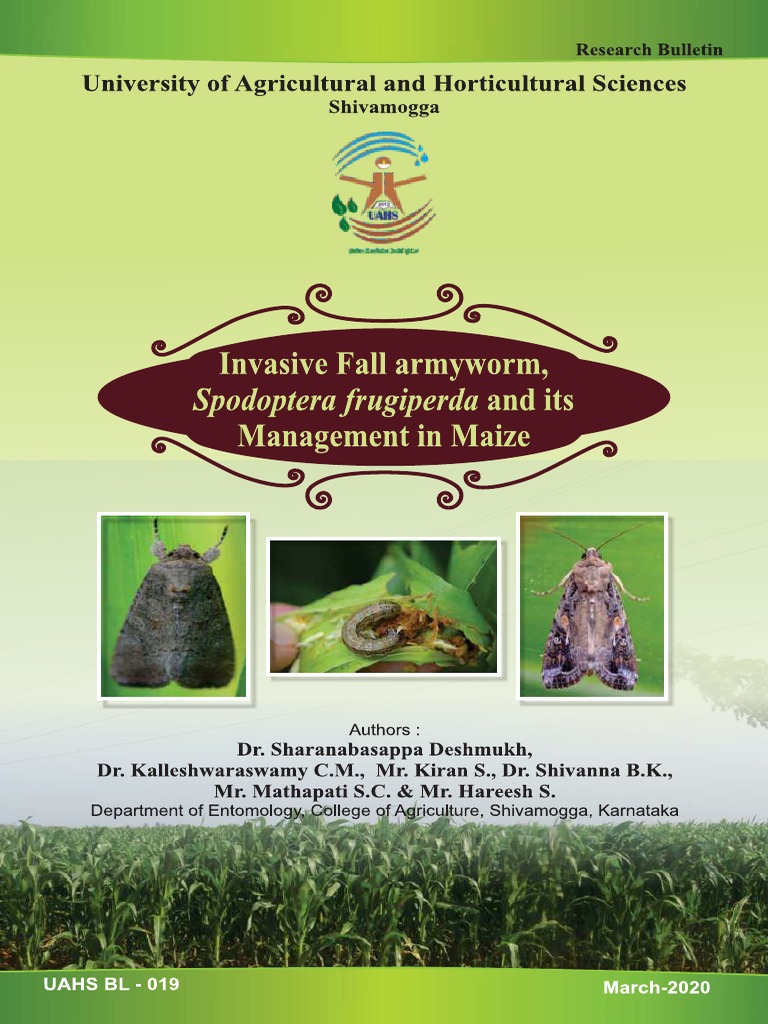 Fall Armyworm and Its Management PDF | PDF