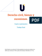 Proyecto Final PDF