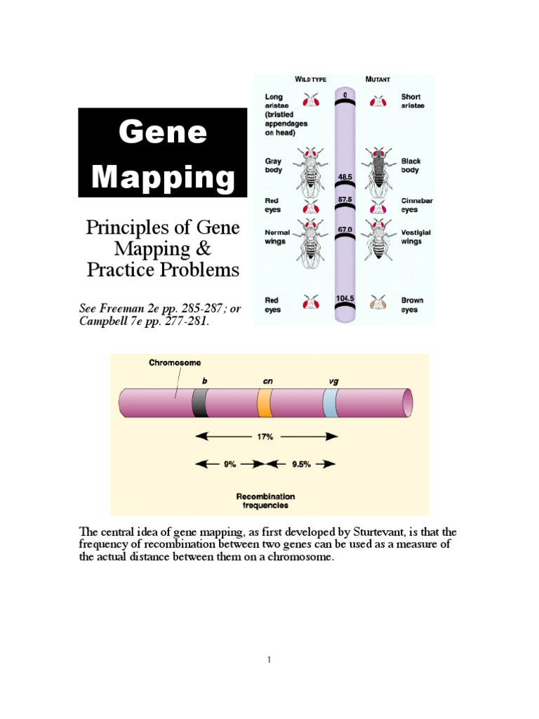 Gene Mapping Principles and Problems | PDF | Genetic Linkage ...