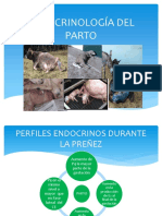 ENDOCRINOLOGÍA DEL PARTO.pdf