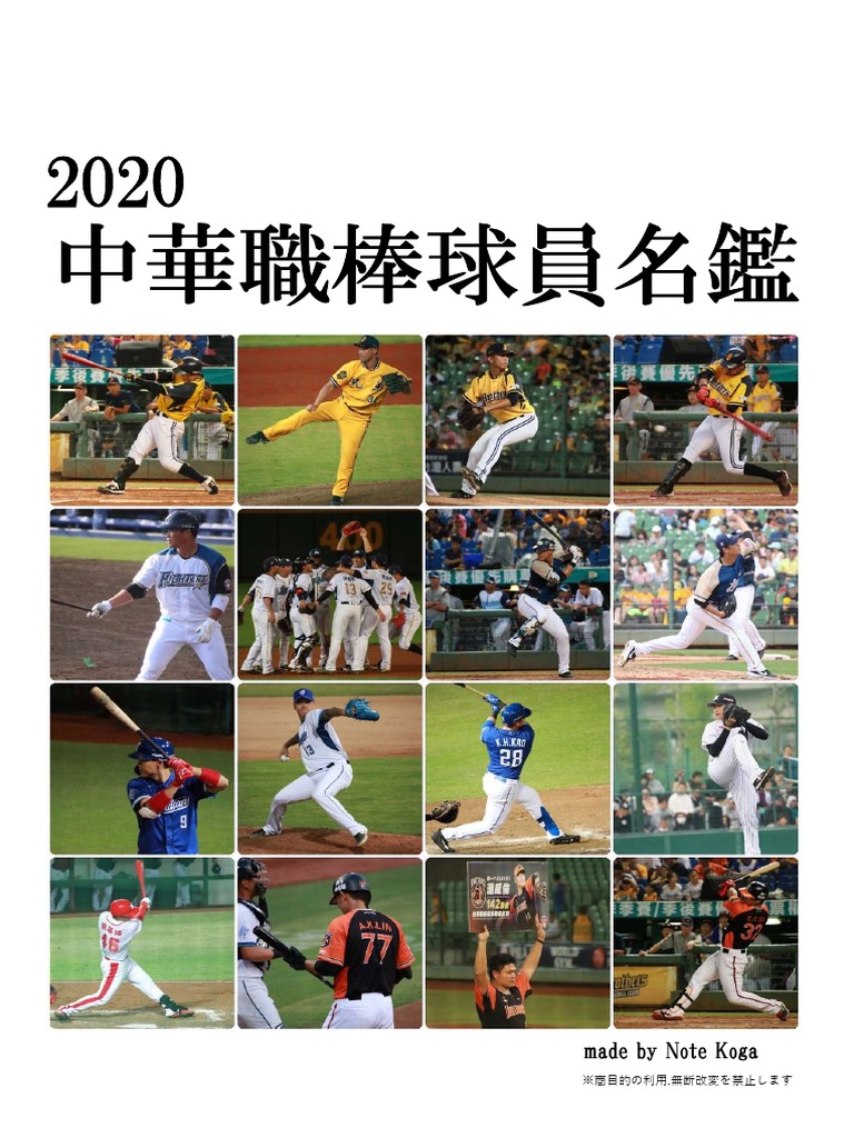 分享版 中華職棒球員名鑑 Pdf Pdf