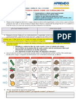 DIA4 Comu 29 10 PDF