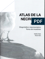 Atlas de La Necropsia Aviar-1 PDF