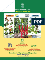 Chillies Capsicum PDF