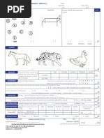 Back Translation MoCA 8.3 Test Versión Mexicana