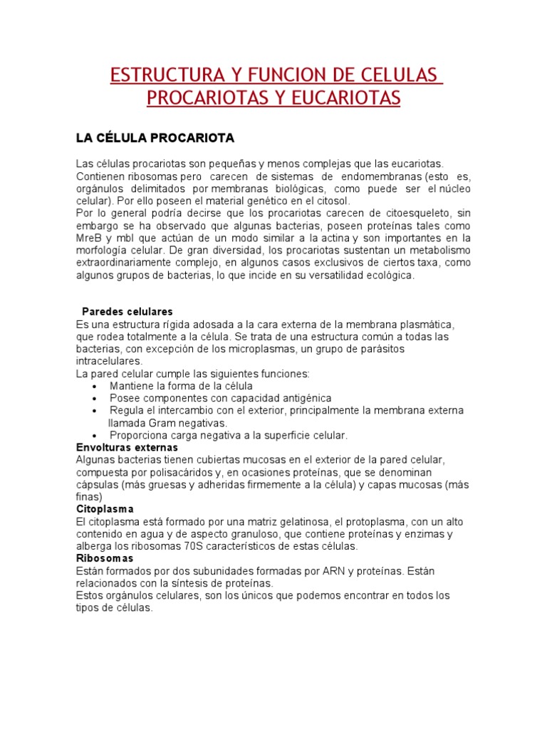 Estructura y Funcion de Celulas Procariotas y Eucariotas | PDF ...