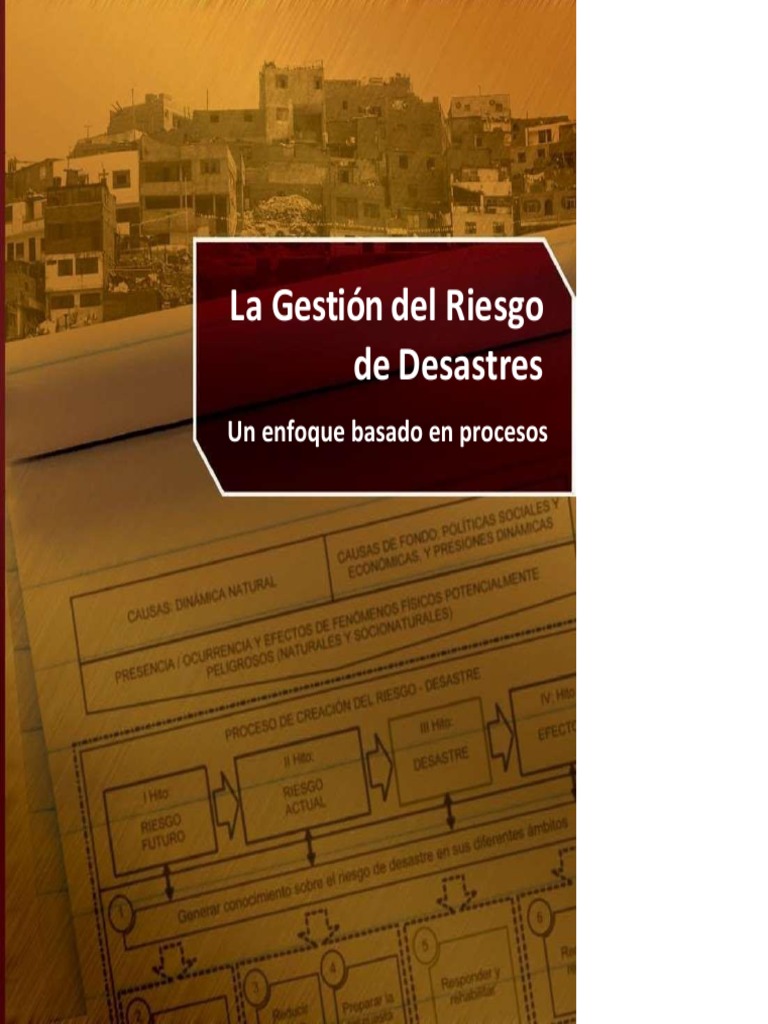 Gestión del Riesgo de Desastres Andina | PDF | Vulnerabilidad | Riesgo