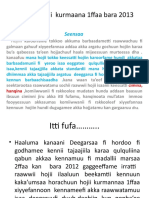 Duub-Deebii Kurmaana 1ffaa Bara 2013