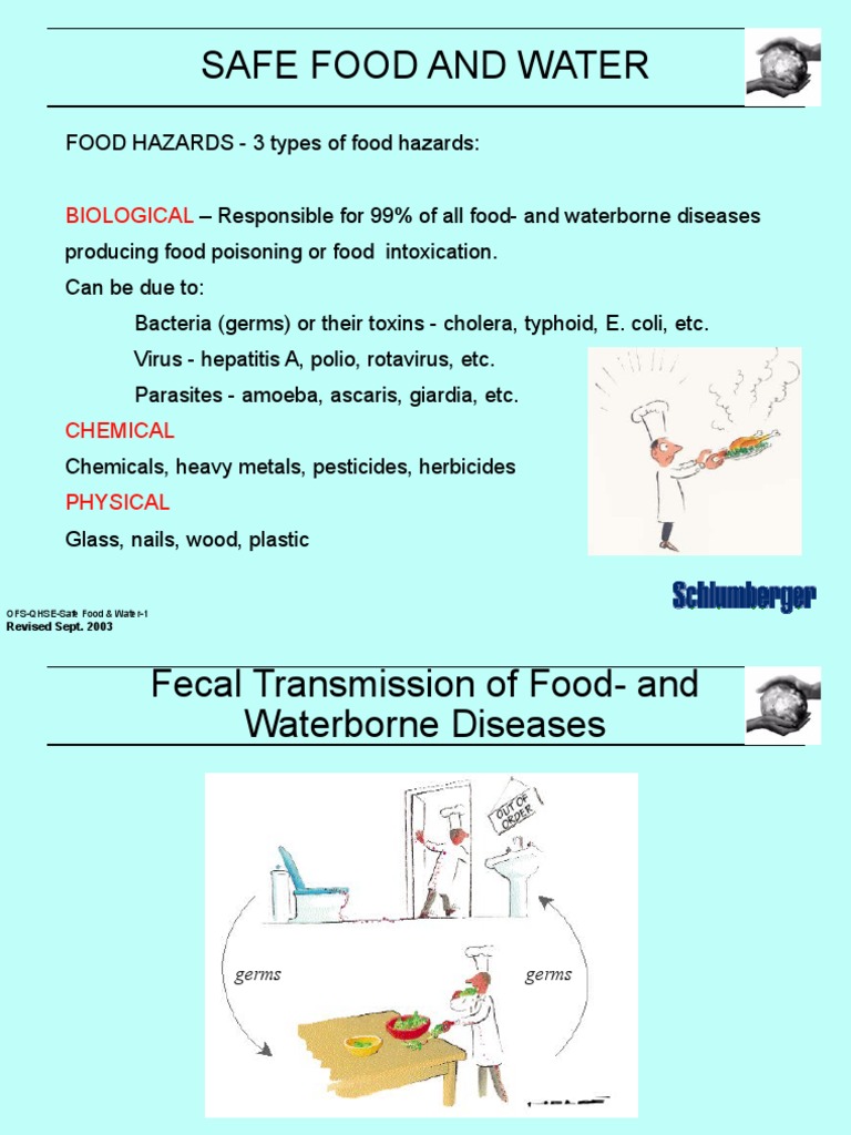 Preventing Foodborne Illnesses A Comprehensive Guide to Safe Food and