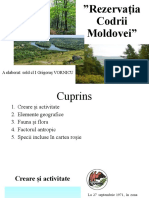 Rezervatia Codrii Moldovei