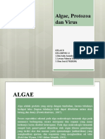 Algae, Protozoa Dan Virus