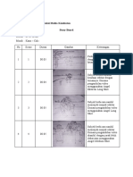 Story Board