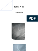 1109684_Tema N 13 hepatobiliar