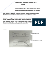 Bac - Épreuve de Spécialité Sciences de La Vie Et de La Terre (SVT) - Sujet Et Corrigé N°1